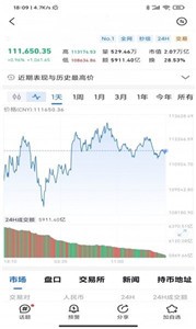 MicroVisionChain交易所