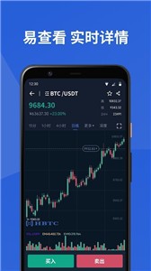BSPAY币