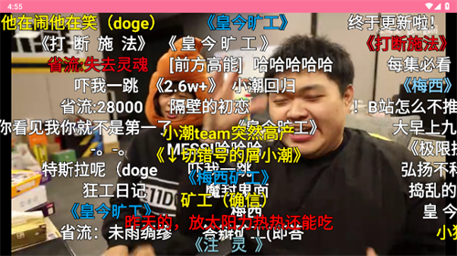 哔哩哔哩第三方TV版