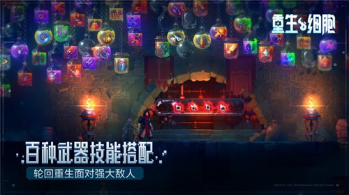 Dead Cells免费版
