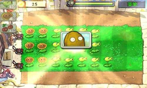 植物大战僵尸魔幻版