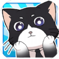 猫总大厦下载-猫总大厦手游下载