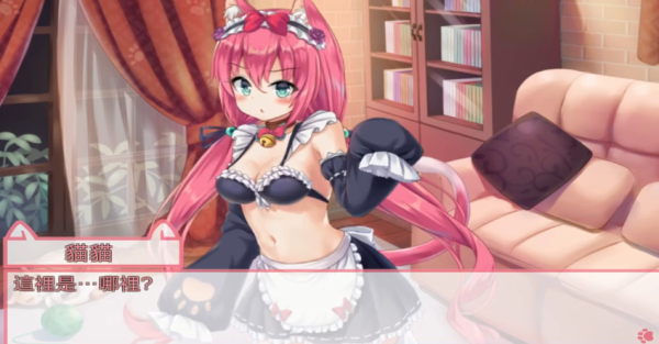 NekoHiroiMasita