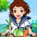 新小森生活台服下载-新小森生活台服下载安装v3.0.6