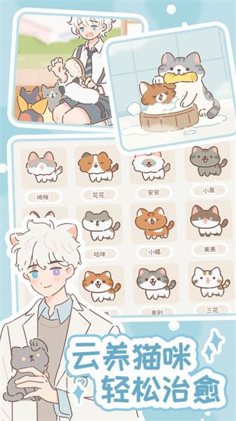 遇见你的猫2024
