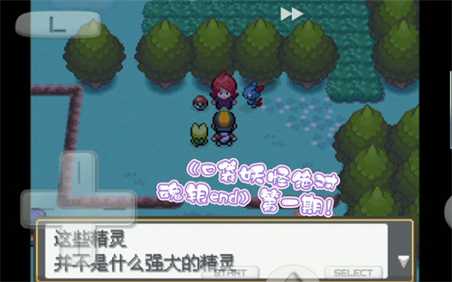 口袋妖怪绝对魂银