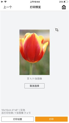 canonprint打印机最新版