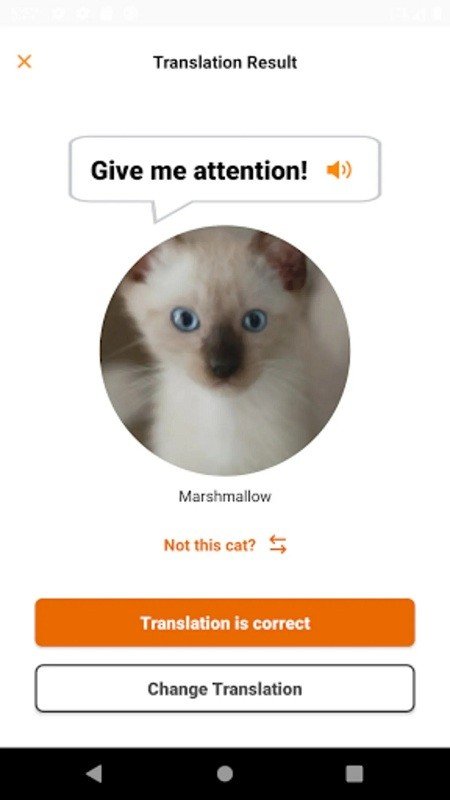 meowtalk安卓中文