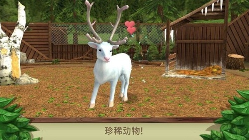 美国野生动物园游戏免广告版