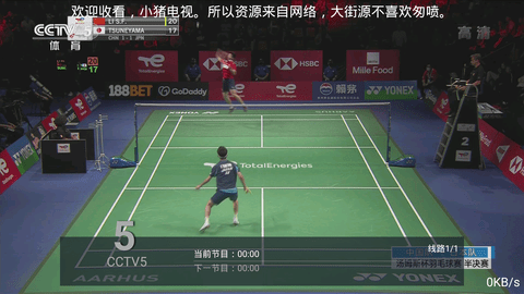 小猪电视tv