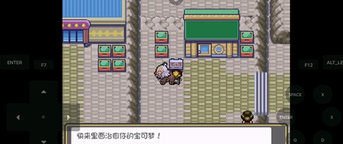 口袋妖怪究极绿宝石