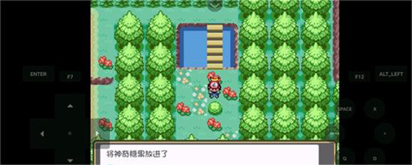 口袋妖怪究极绿宝石下载安装无限神奇糖果