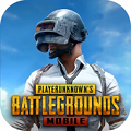 pubg东南亚服手机版下载-pubg东南亚服最新版下载
