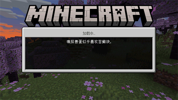 我的世界夏日派对网易版