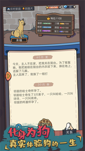 狗生模拟器2024