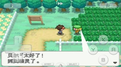 精灵宝可梦白2