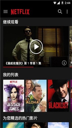 netflix在线播放平台