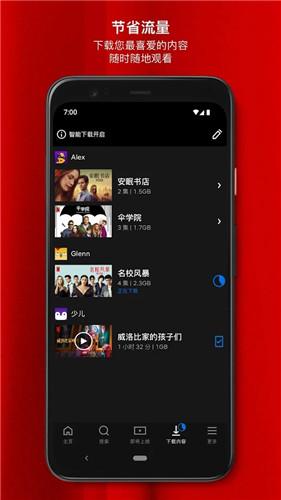 网飞netflix播放器