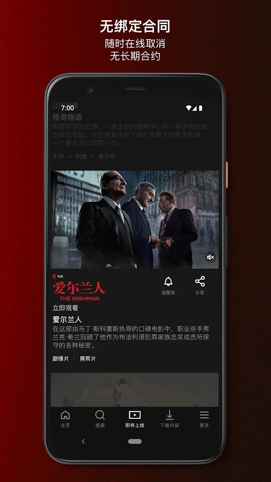 网飞netflix播放器