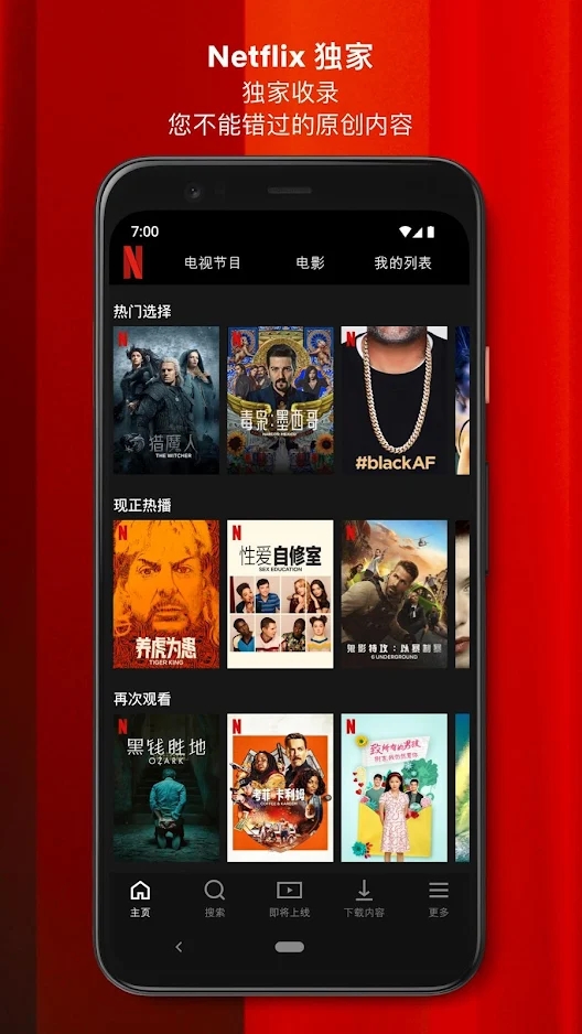 netflix在线播放平台