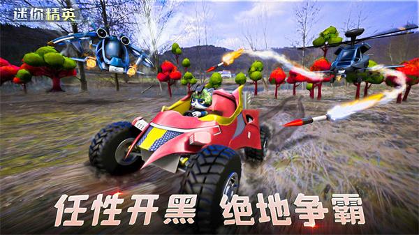 迷你精英