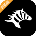 斑马出行图