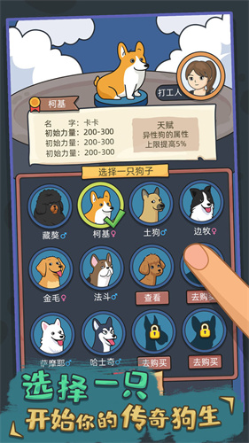 狗生模拟器最新版