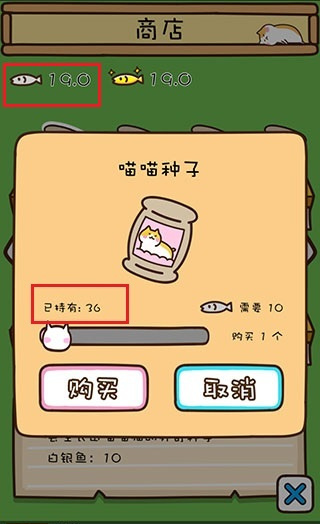 猫咪田园