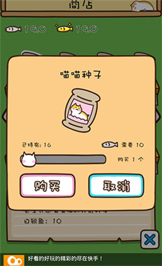 猫咪田园