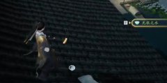 射雕无根之水怎么获得-无根之水获得方法介绍