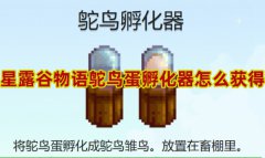 星露谷物语鸵鸟蛋孵化器怎么得-星露谷物语鸵鸟蛋孵化器获得方法