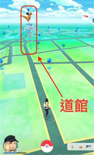 宝可梦go