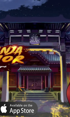 忍者武士之影