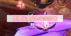 原神优昙花的花蕊位置-优昙花的花蕊位置采集方式介绍