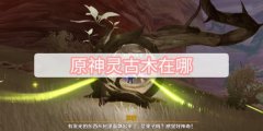 原神灵古木在哪-10个灵古木全位置大全介绍