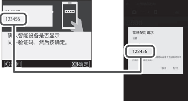snapbridge正版