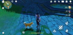 原神犬流刀降术怎么躲避-犬流刀降术躲避方法