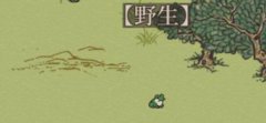 江南百景图小动物蛙图鉴-蛙捕获喂养回馈礼物介绍