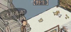 江南百景图小动物兔子图鉴-兔子捕获喂养回馈礼物介绍