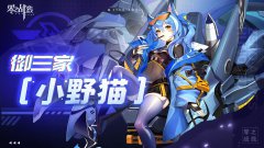 零之战线小野猫阵容怎么搭配-小野猫阵容推荐介绍