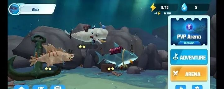StarSharks星鲨