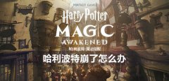 哈利波特崩了怎么办-崩了无法访问服务器解决方法