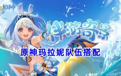原神玛拉妮怎么配队_原神玛拉妮队伍搭配建议