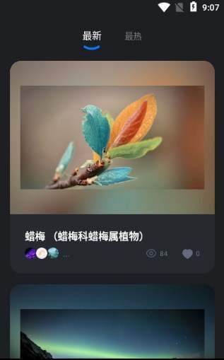 元视觉数字藏品app最新