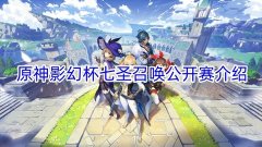 原神影幻杯七圣召唤公开赛介绍_原神影幻杯七圣召唤公主是谁