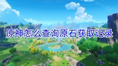 原神怎么查询原石获取记录_原石获取记录怎么查