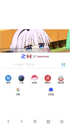ZHX浏览器