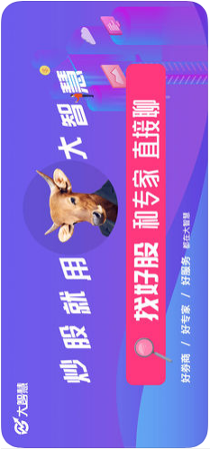 大智慧