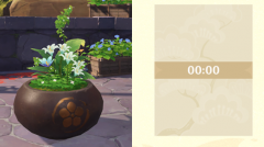 原神花影瑶庭怎么玩_原神花影瑶庭玩法攻略