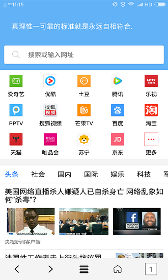 VIP浏览器正版